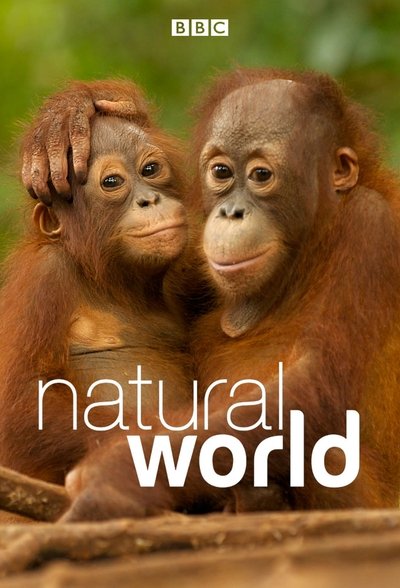 Póster de Natural World