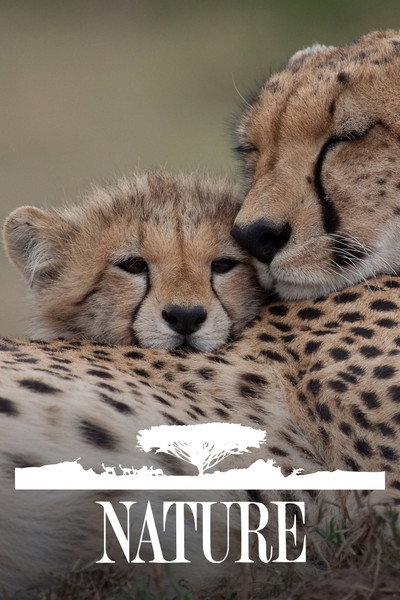 Póster de Nature