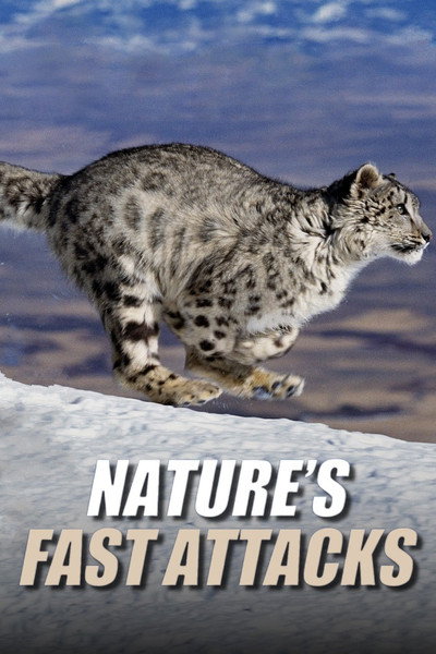 Póster de Nature's Fast Attacks