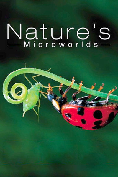 Póster de Nature's Microworlds