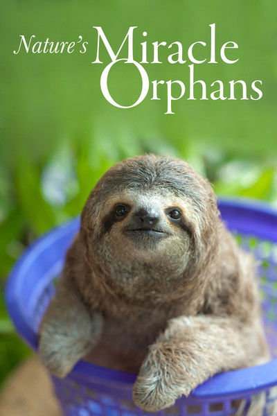 Póster de Nature's Miracle Orphans