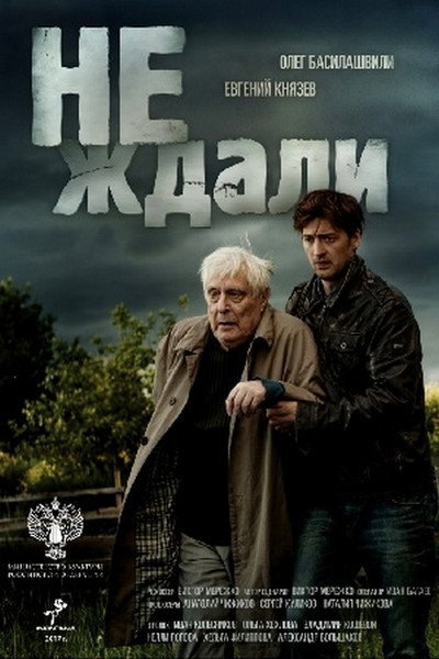 Póster de Ne zhdali