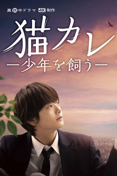 Póster de Neko-kare - Shônen wo kau -