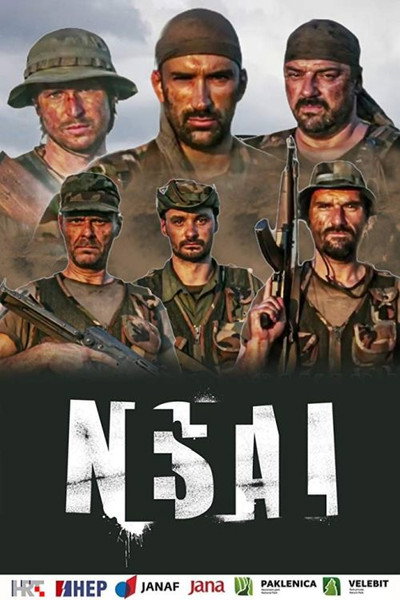 Póster de Nestali