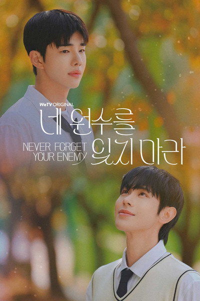 Póster de Never Forget Your Enemy