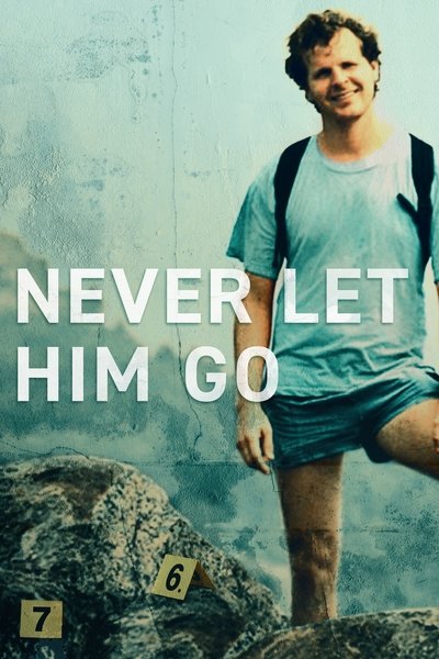 Póster de Never Let Him Go