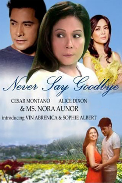 Póster de Never Say Goodbye