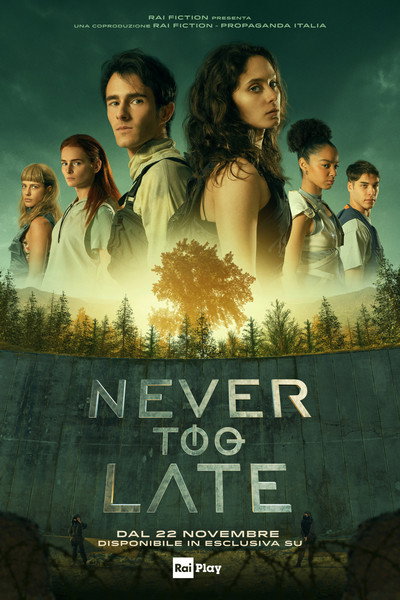 Póster de Never Too Late