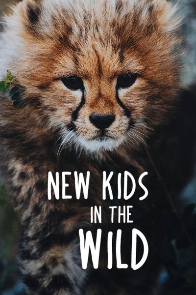 Póster de New Kids in the Wild
