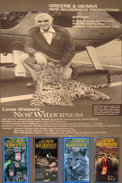 Póster de New Wilderness