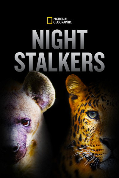 Póster de Night Stalkers