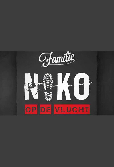 Póster de Niko op de Vlucht
