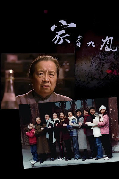 Póster de Nine Daughters in My Family