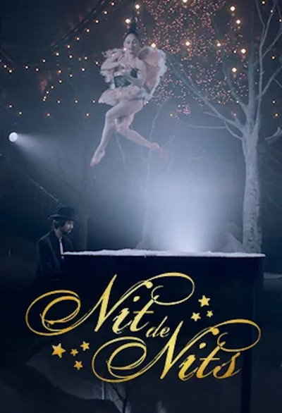Póster de Nit de nits