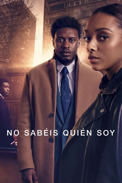 Póster de No sabéis quién soy
