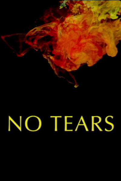Póster de No Tears