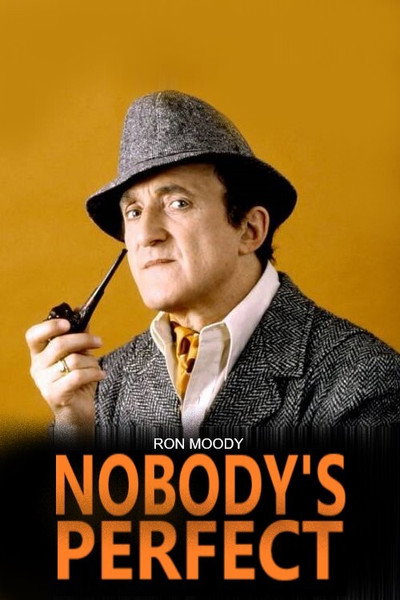 Póster de Nobody's Perfect