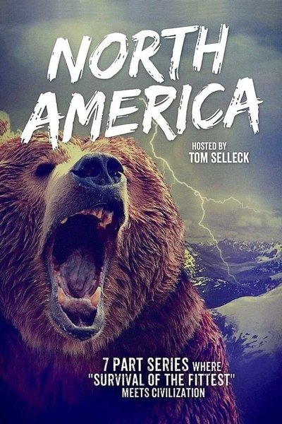 Póster de North America