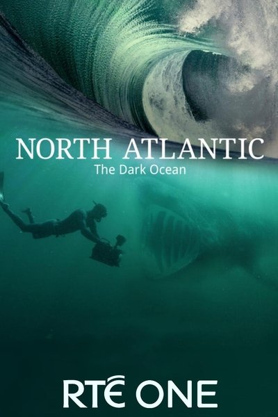 Póster de North Atlantic: The Dark Ocean