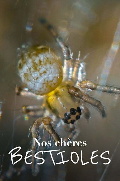 Póster de Nos chères bestioles