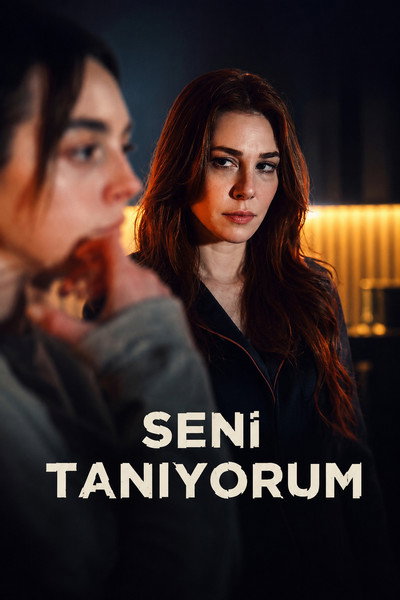 Póster de Not a Stranger