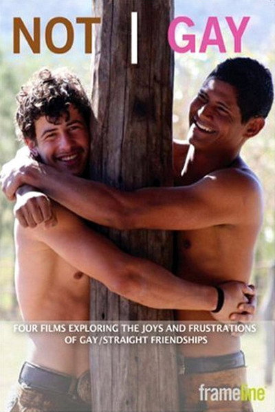 Póster de Not Gay