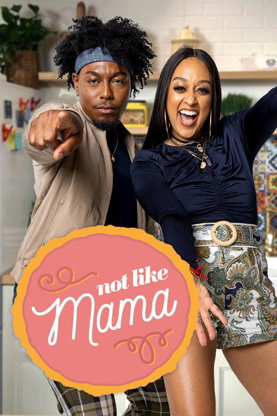 Póster de Not Like Mama