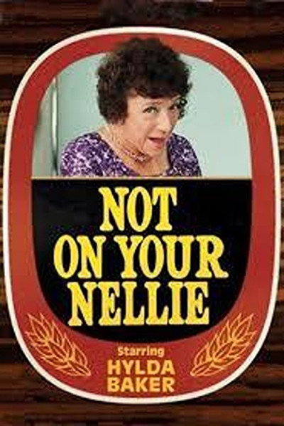 Póster de Not on Your Nellie