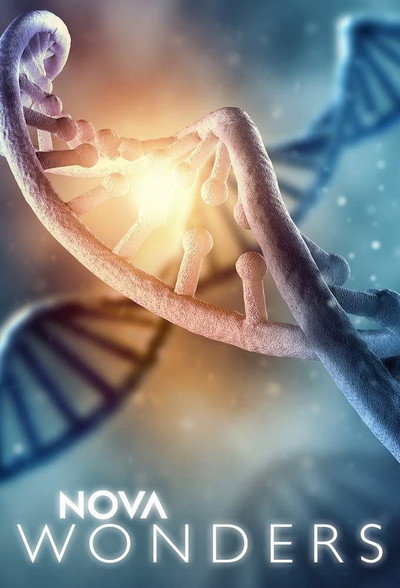 Póster de Nova Wonders