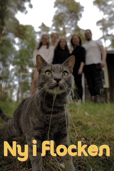 Póster de Ny i flocken