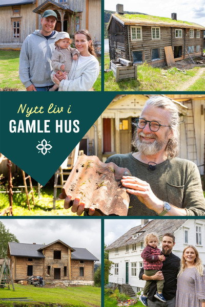 Póster de Nytt liv i gamle hus