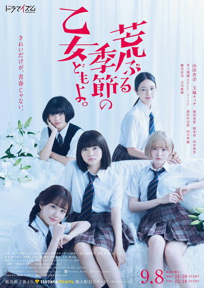 Póster de O Maidens in Your Savage Season