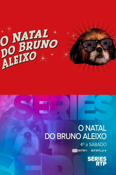 Póster de O Natal do Bruno Aleixo