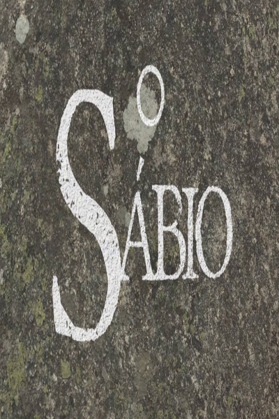 Póster de O Sábio