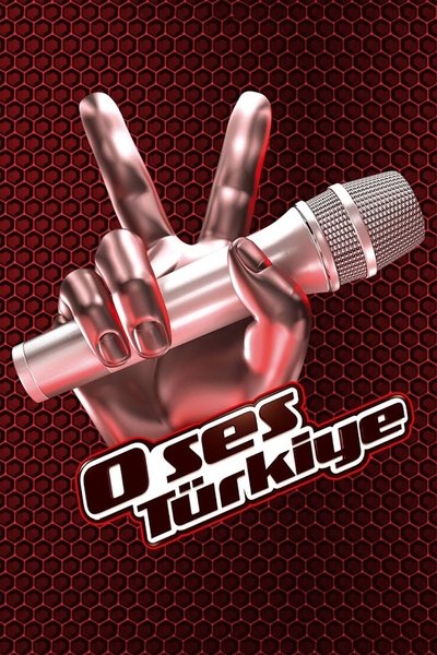 Póster de O Ses Türkiye