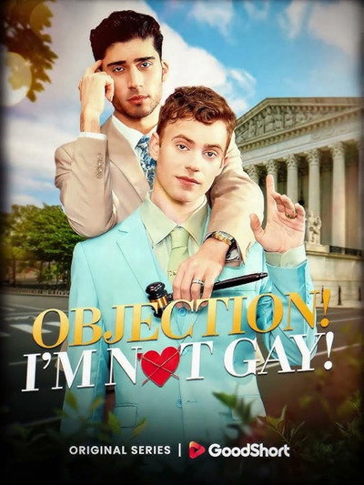 Póster de Objection! I'm Not Gay!