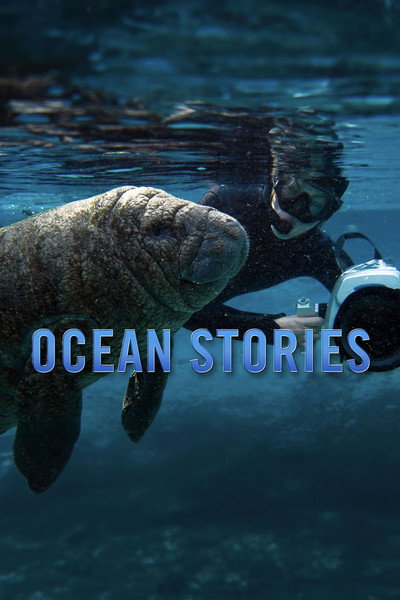 Póster de Ocean Stories