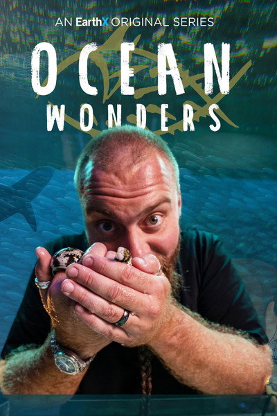 Póster de Ocean Wonders