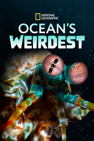 Póster de Ocean's Weirdest