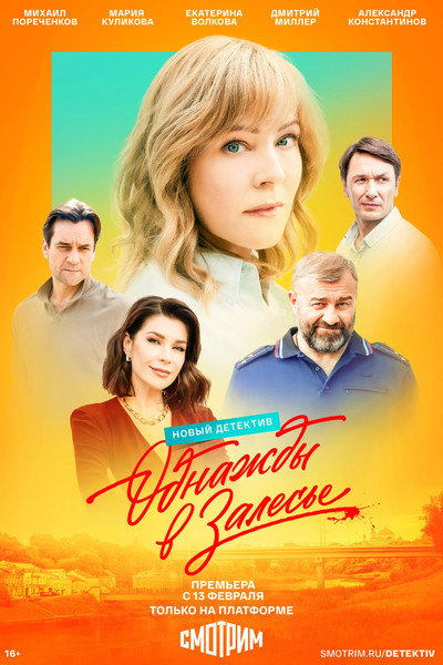 Póster de Odnazhdy v Zalese