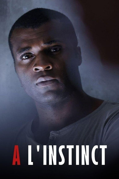 Póster de On Instinct