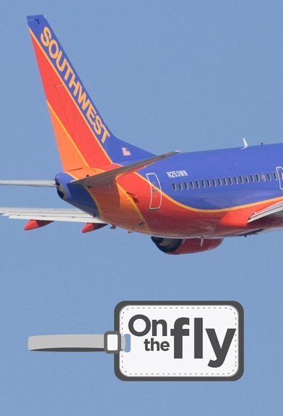 Póster de On the Fly