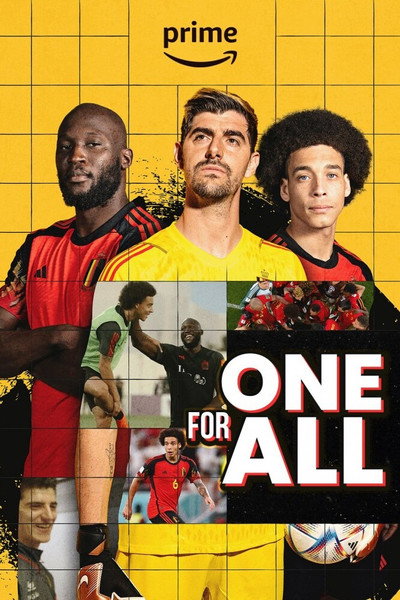 Póster de One for All