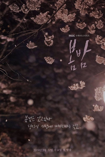 Póster de One Spring Night