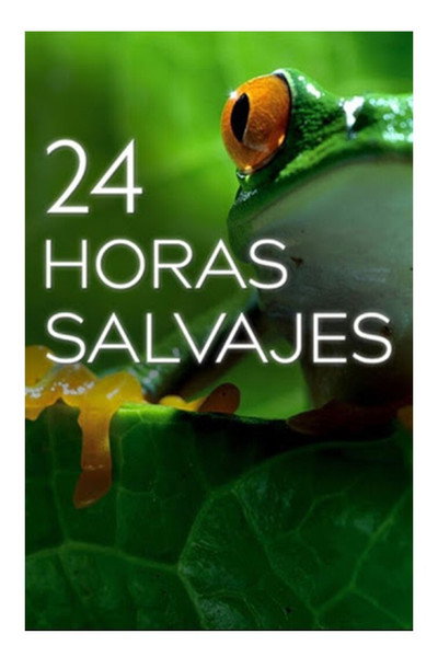 Póster de One Wild Day