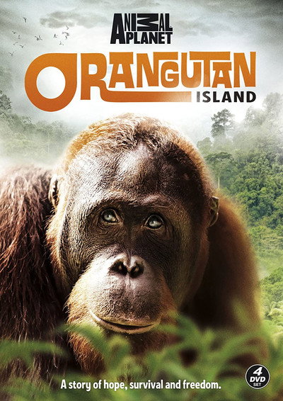 Póster de Orangutan Island