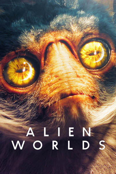 Póster de Otras galaxias