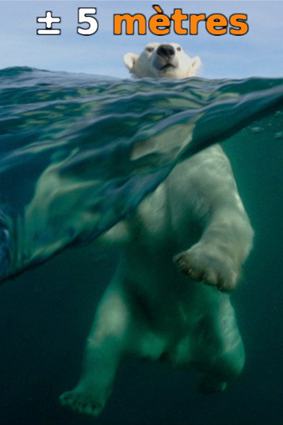 Póster de À + ou - 5 mètres de la surface des océans