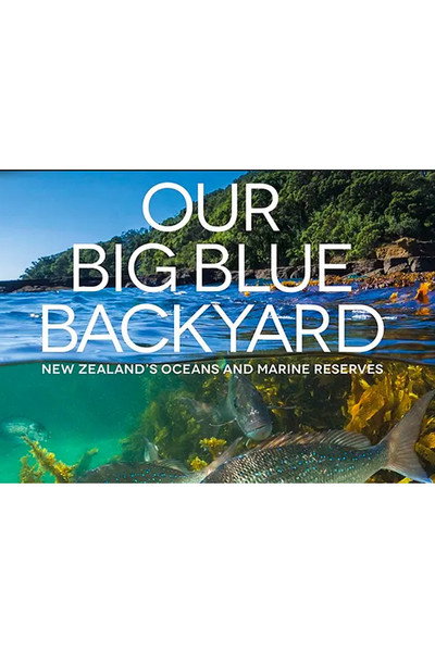 Póster de Our Big Blue Backyard