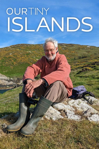 Póster de Our Tiny Islands